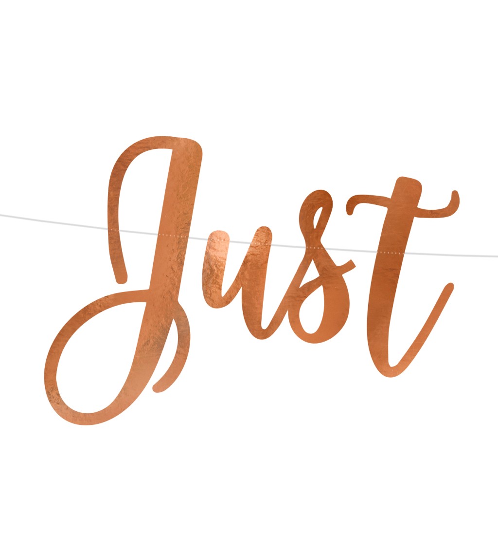 Just married - banner - rose gold
