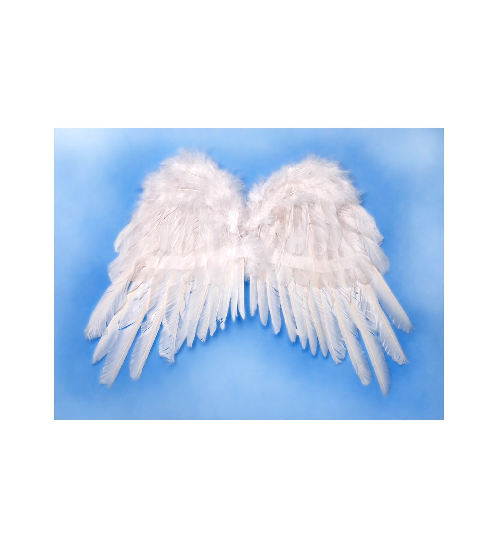 Bílá andělská křídla VII