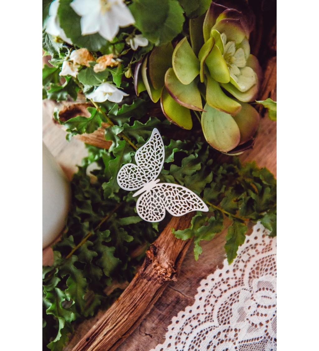 Bílí dekorativní motýlci V