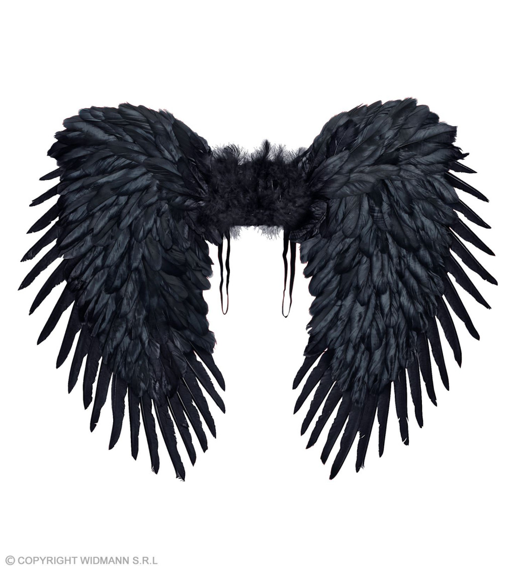 Křídla - černá
