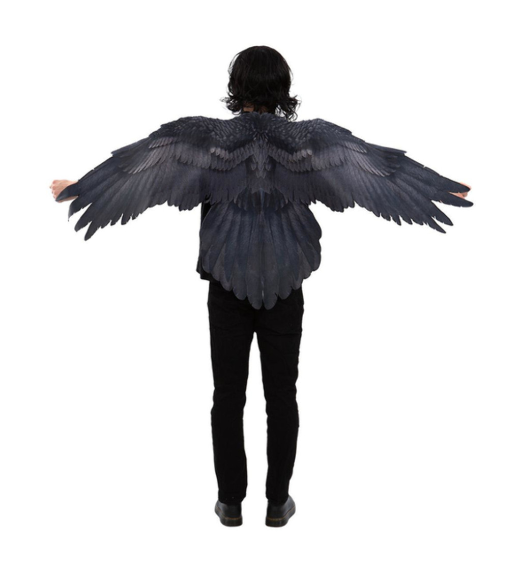 Havraní černý plášť a křídla
